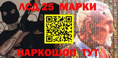крисы Гатчина