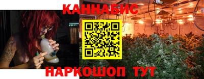 крисы Гатчина