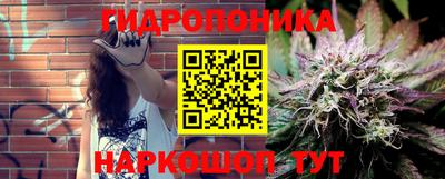 PSILOCYBIN Гай