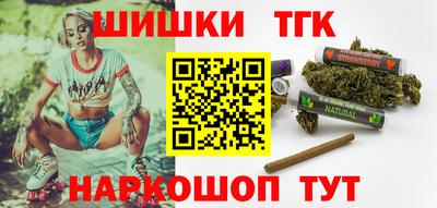 крисы Гатчина