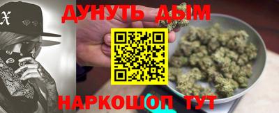 крисы Гатчина