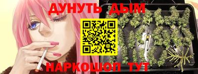 PSILOCYBIN Гай