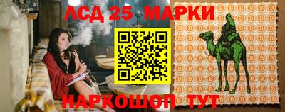 крисы Гатчина