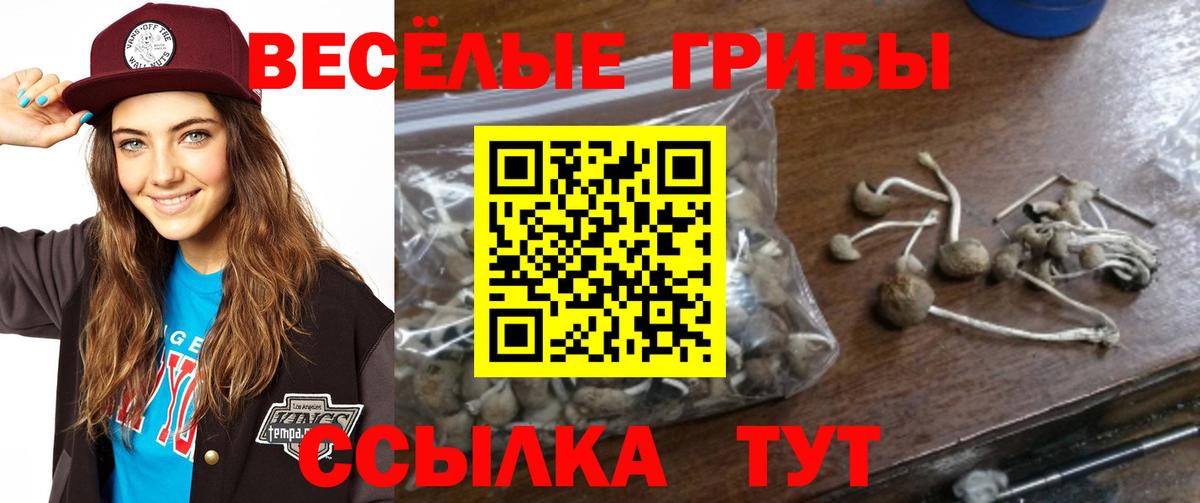 Нововоронеж  Псилоцибиновые грибы Psilocybine cubensis  Вход с VPN 
